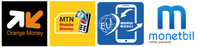 Mobile Money Payment